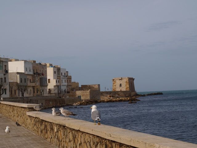 Trapani
