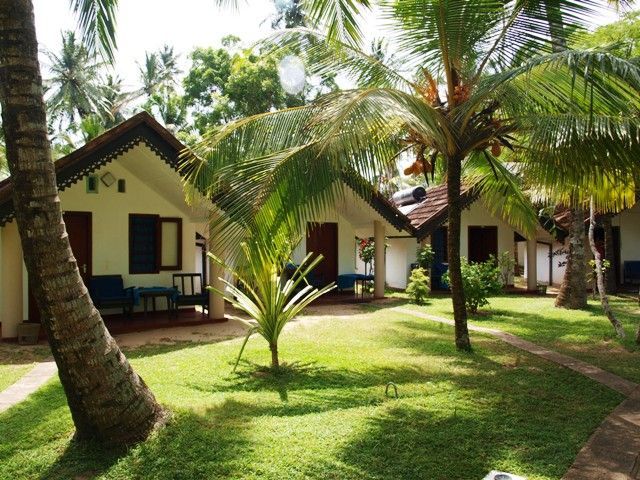 paradise beach hotel mirissa