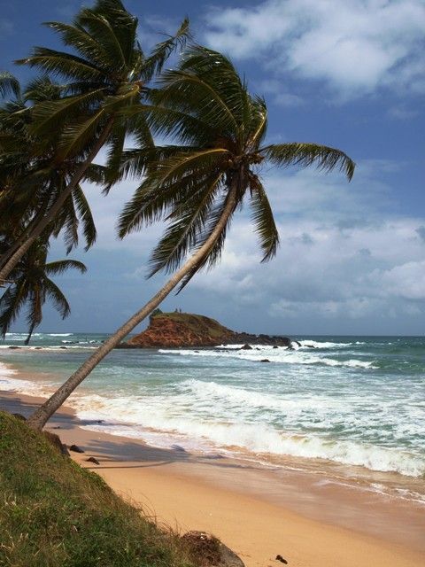 Mirissa