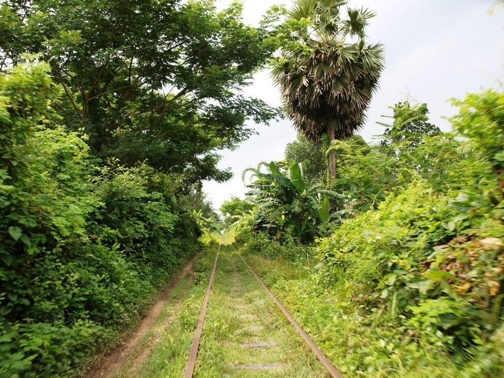 tren bambu battambang