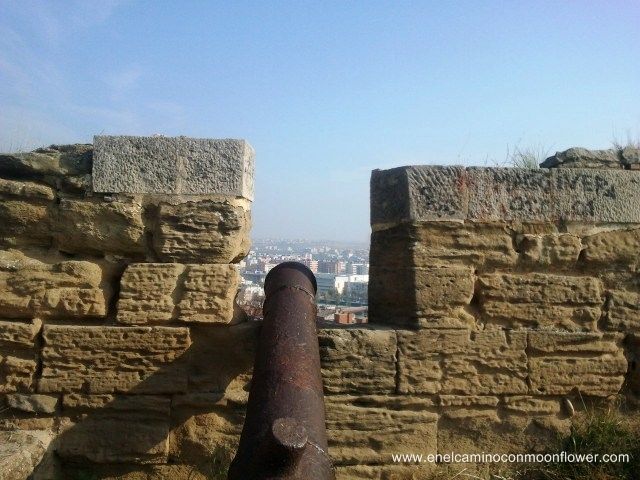 2012-11-14 13.18.52m Gardeny lleida