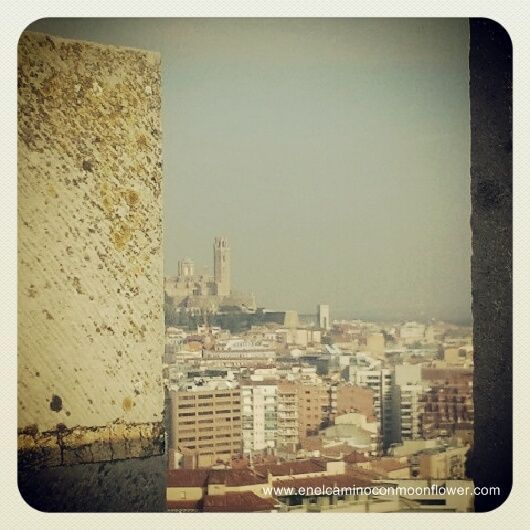 Gardeny lleida