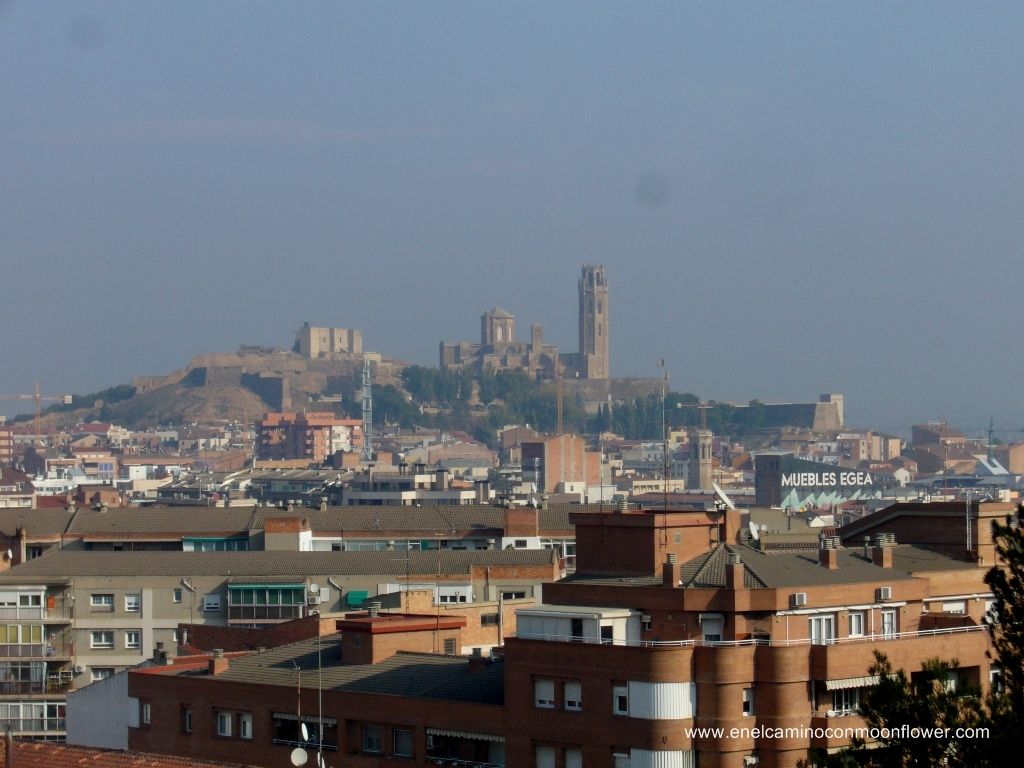 Seu Vella Lleida