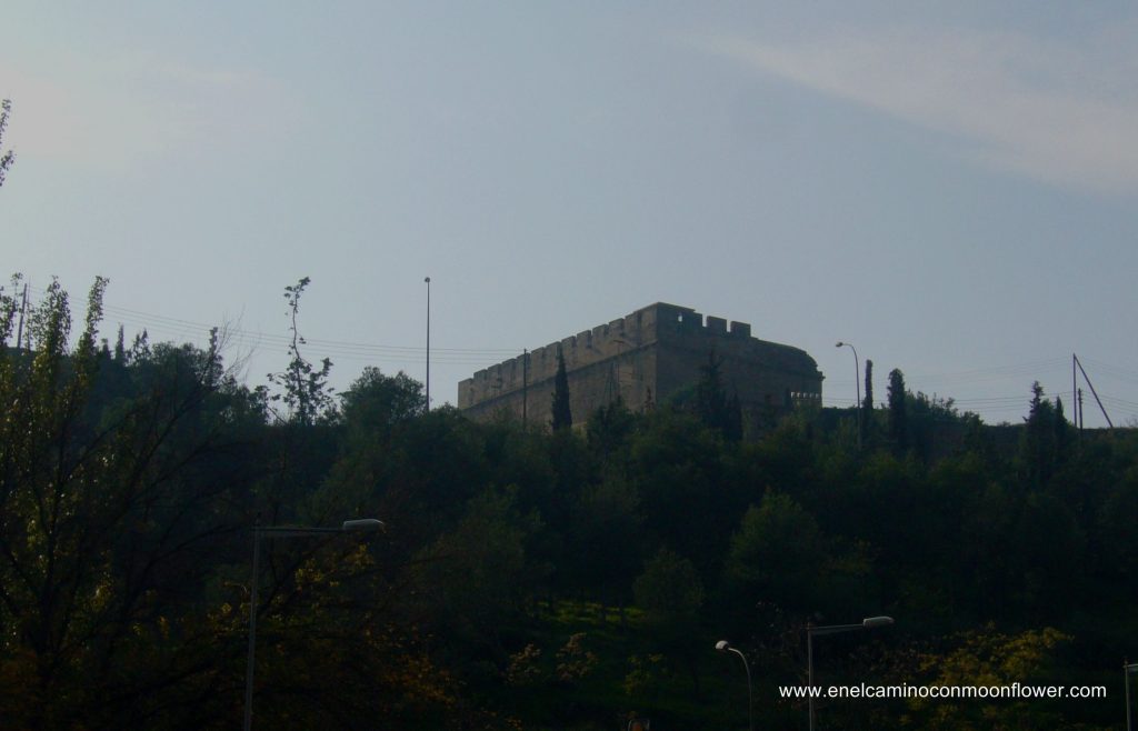 Gardeny lleida
