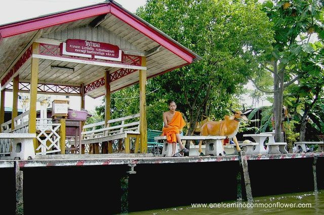khlongs -bangkok