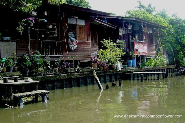 khlongs_bangkok