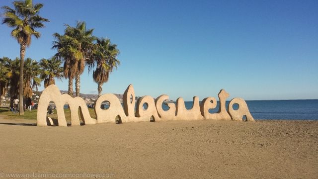 malagueta