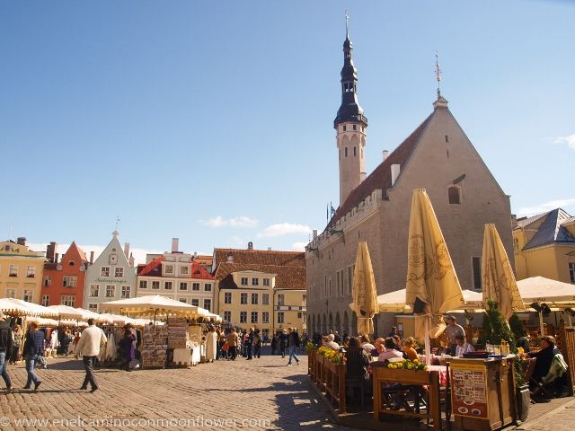 plaza-ayuntamiento-tallin