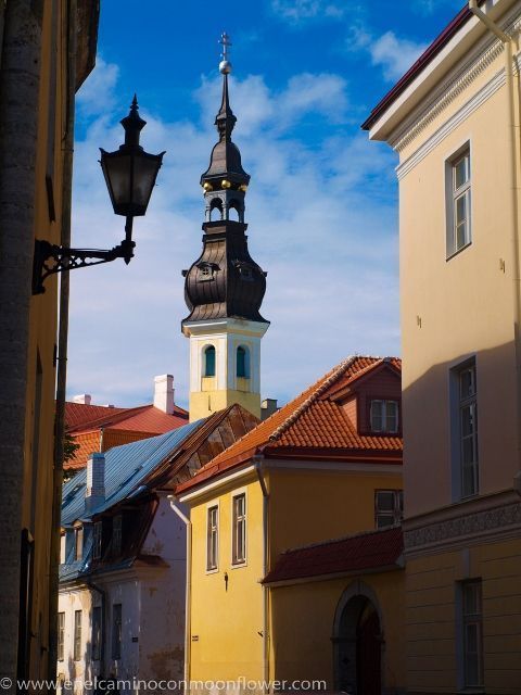 Tallin