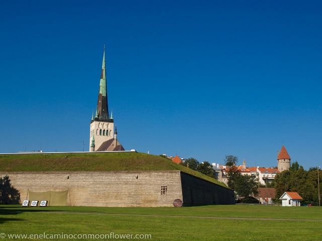 Tallin