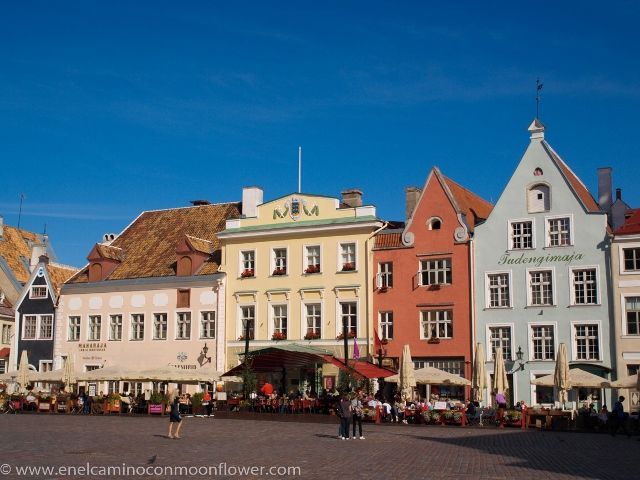 plaza-ayuntamiento-tallin