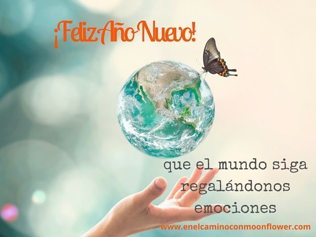 a&ntilde;o-nuevo-moonflower